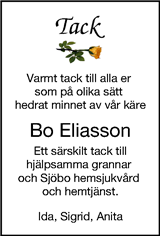 Borås Tidning