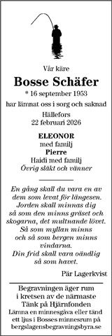 Veckonytt FH