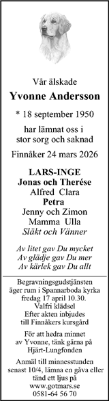 Magazin24