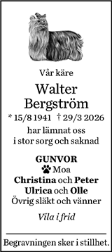 Norran (Norra Västerbotten)