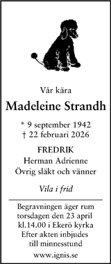 Svenska Dagbladet