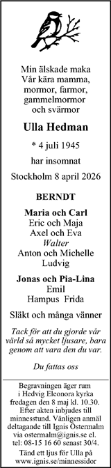 Magazin24