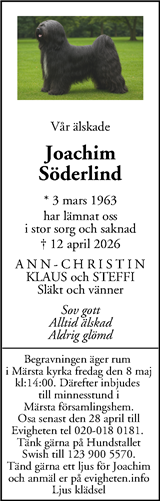 Mitt i Sigtuna