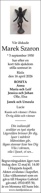 Nya Lidköpings-Tidningen