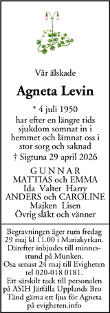 Mitt i Sigtuna