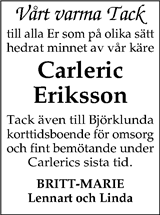 Dalslänningen