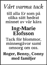 Tranås Tidning,Smålands-Tidningen,Smålands Dagblad,Vetlanda Posten