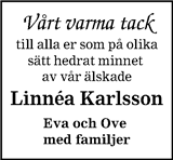 Blekinge Läns Tidning,Sydöstran