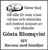 Sydöstran