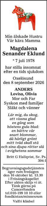 Borlänge Tidning,Falu-Kuriren,Södra Dalarnes Tidning,Nya Ludvika Tidning