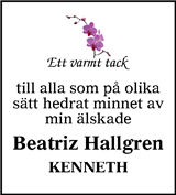 Smålänningen