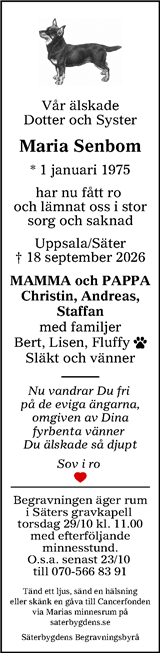 Lokalt i Dalarna (fd Annonsbladet Dalarna)