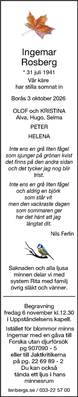 Borås Tidning