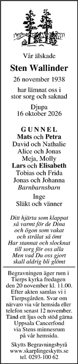 Webbannons