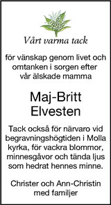 Borås Tidning