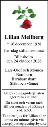 Webbannons