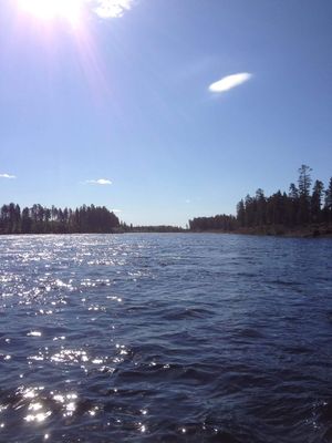 Sanna Mård