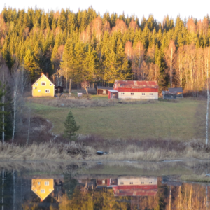 Rune Nilsson