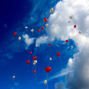 Kari Ek