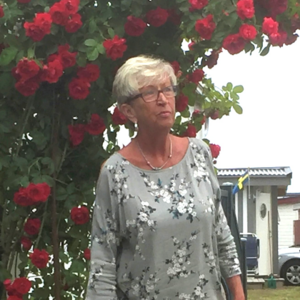 Ing-Marie Andersson