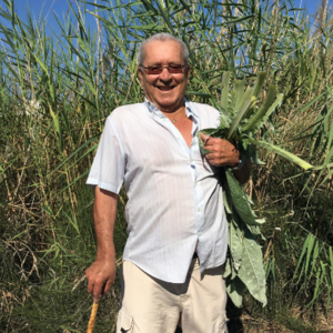 Vicente Jorro Martinez