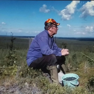 Bengt Gramner