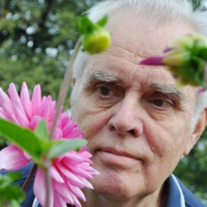 Ulf Thorén