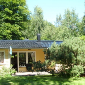 Alve Sjölin